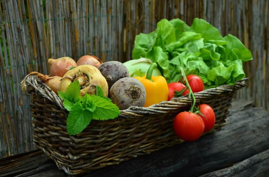 Gemüsegarten & Gemüsebeet anlegen für Anfänger